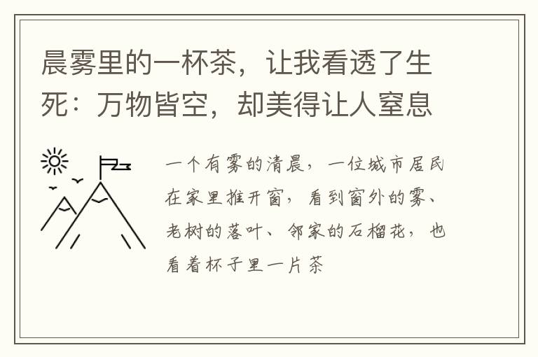 晨雾里的一杯茶，让我看透了生死：万物皆空，却美得让人窒息