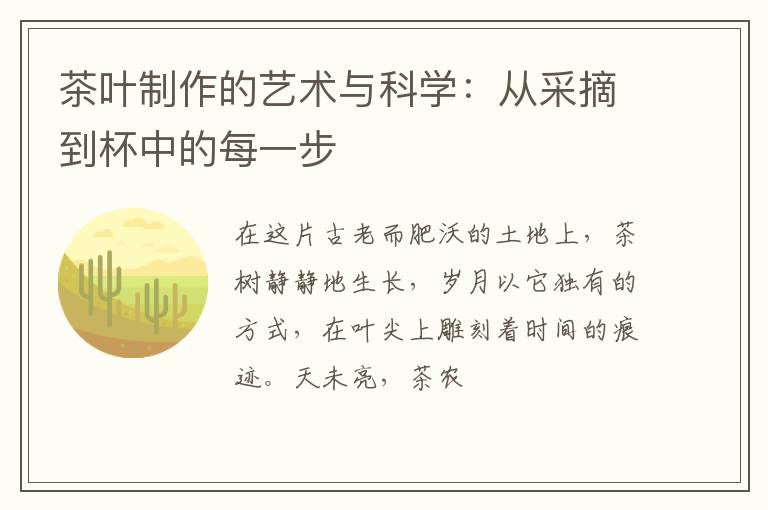 茶叶制作的艺术与科学：从采摘到杯中的每一步