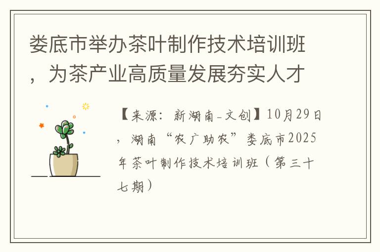 娄底市举办茶叶制作技术培训班，为茶产业高质量发展夯实人才根基