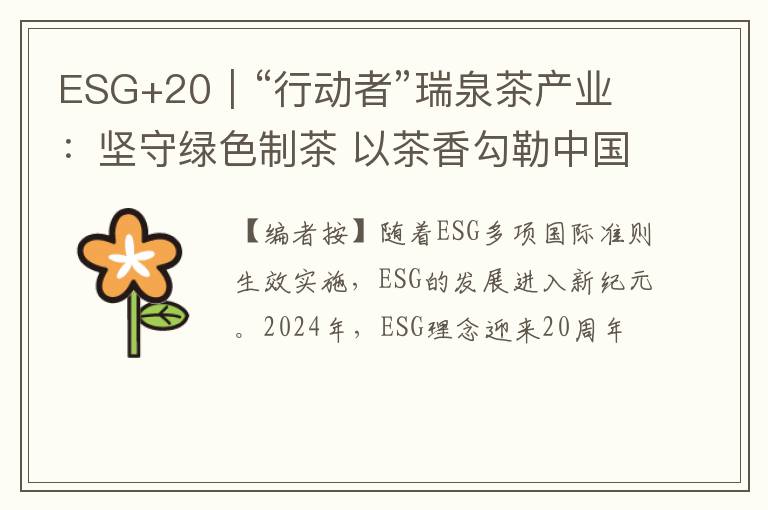 ESG+20｜“行动者”瑞泉茶产业：坚守绿色制茶 以茶香勾勒中国文化