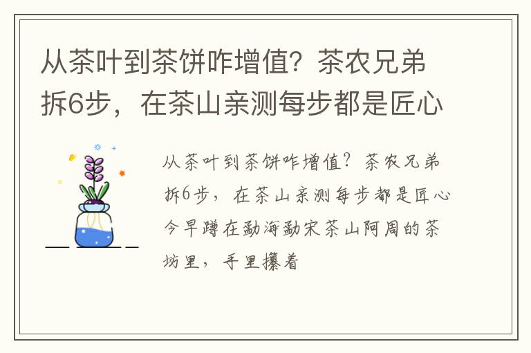 从茶叶到茶饼咋增值？茶农兄弟拆6步，在茶山亲测每步都是匠心