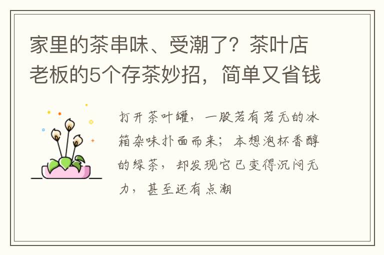 家里的茶串味、受潮了?茶叶店老板的5个存茶妙招,简单又省钱