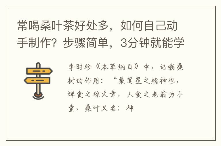 常喝桑叶茶好处多,如何自己动手制作?步骤简单,3分钟就能学会