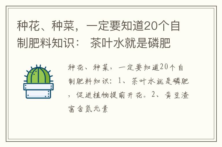种花、种菜，一定要知道20个自制肥料知识： 茶叶水就是磷肥