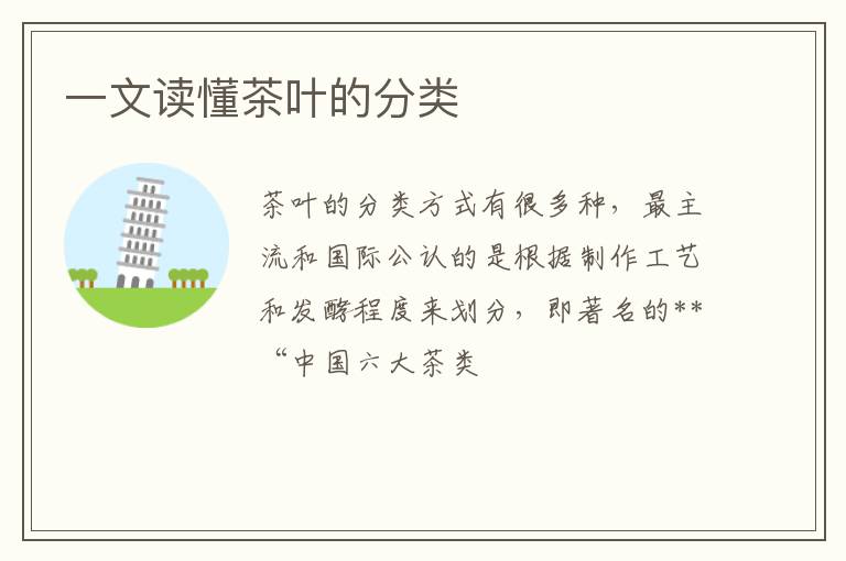 一文读懂茶叶的分类