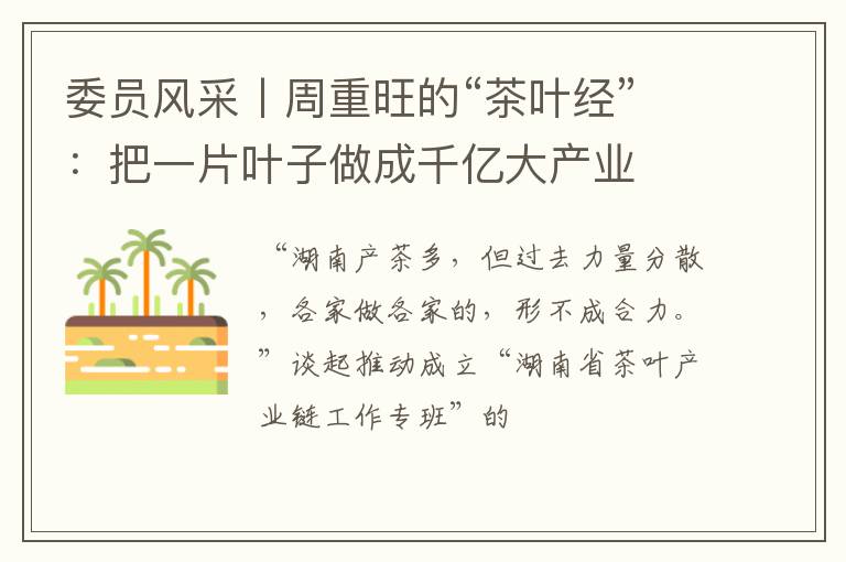 委员风采丨周重旺的“茶叶经”：把一片叶子做成千亿大产业