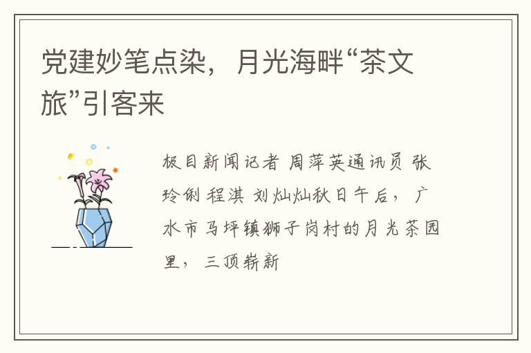 党建妙笔点染,月光海畔“茶文旅”引客来