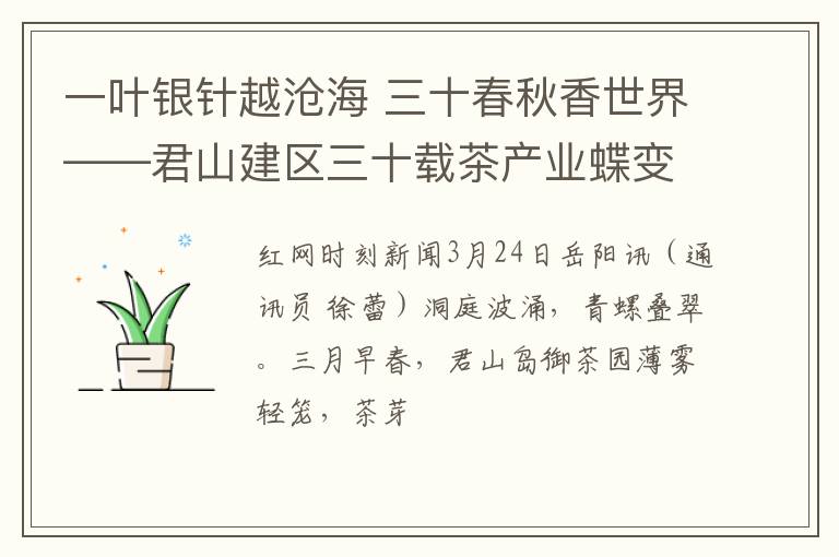 一叶银针越沧海 三十春秋香世界——君山建区三十载茶产业蝶变