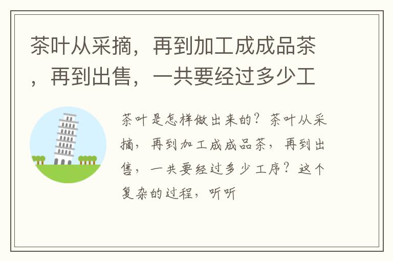 茶叶从采摘，再到加工成成品茶，再到出售，一共要经过多少工序？