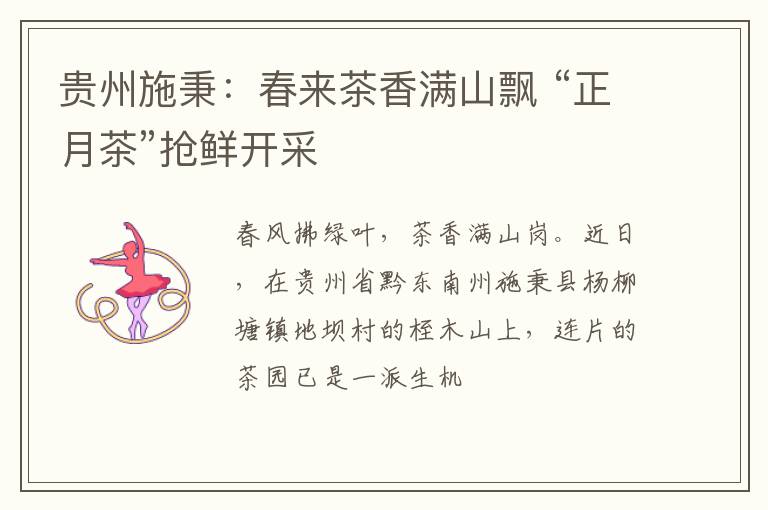 贵州施秉：春来茶香满山飘 “正月茶”抢鲜开采