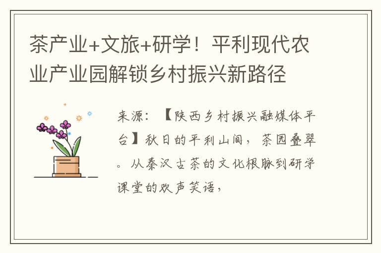 茶产业+文旅+研学!平利现代农业产业园解锁乡村振兴新路径