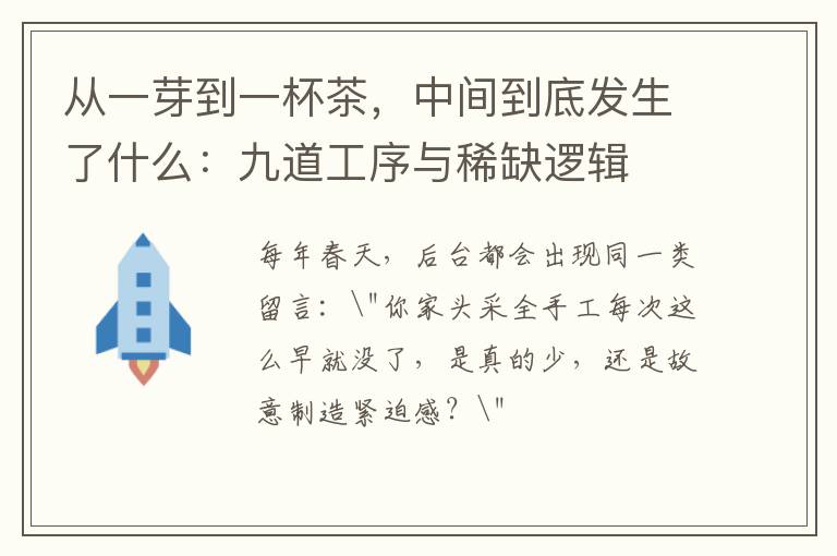 从一芽到一杯茶，中间到底发生了什么：九道工序与稀缺逻辑